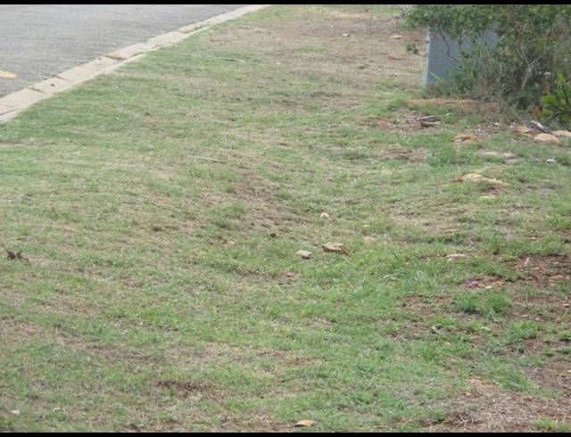 LAND FOR SALE IN MOSSEL BAY EXT 26